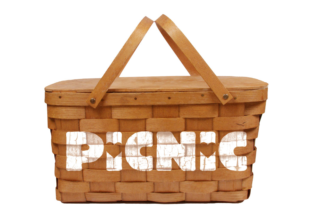 picnic2